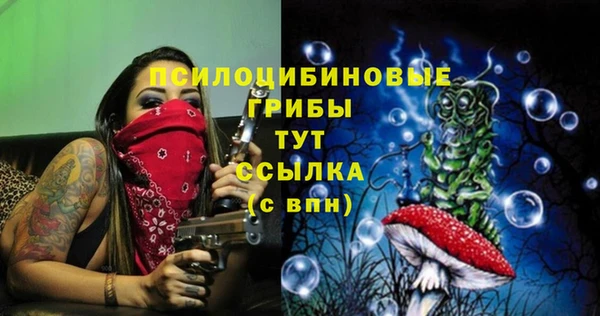 дурь Медвежьегорск