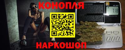ешки Гай