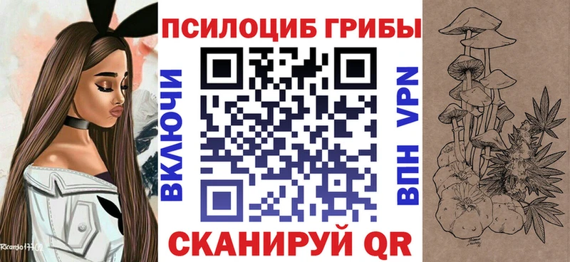 Псилоцибиновые грибы GOLDEN TEACHER Канск