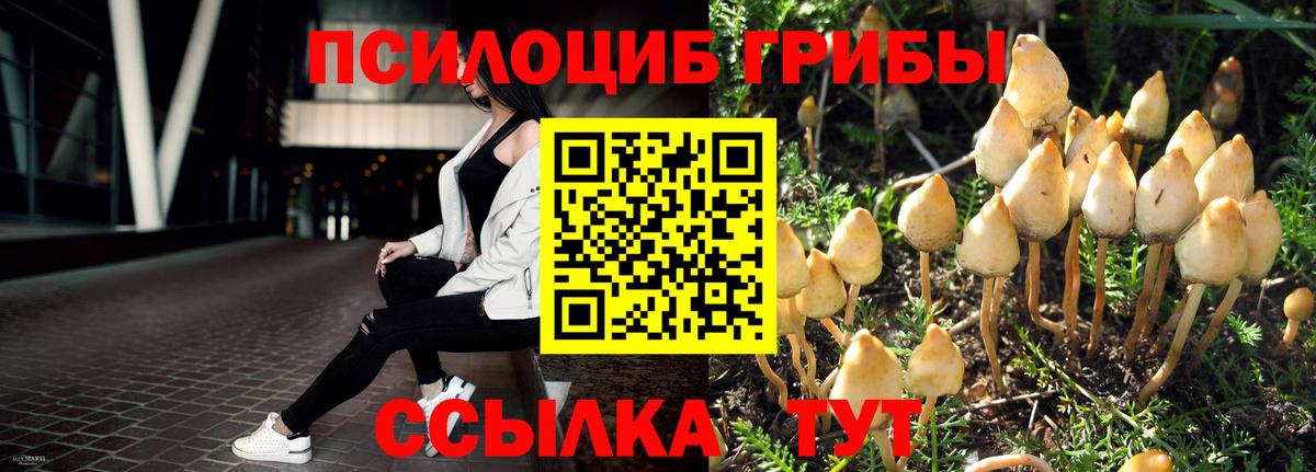 Галлюциногенные грибы мицелий Канск