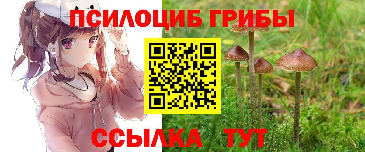 Галлюциногенные грибы ЛСД  Вход с VPN  Псилоцибиновые грибы прущие грибы  Канск 