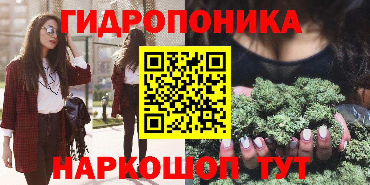 Бошки Шишки план Канск